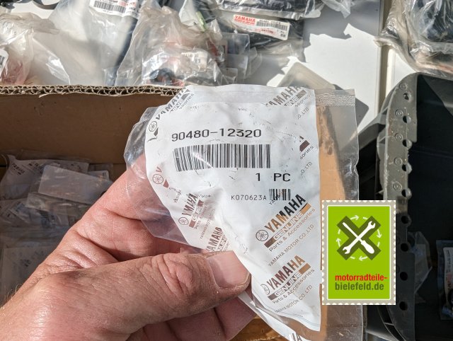 PXL_20240528_153537807